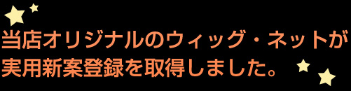 実用新案登録取得